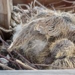 phoca_thumb_m_006 1 Fotogalerie